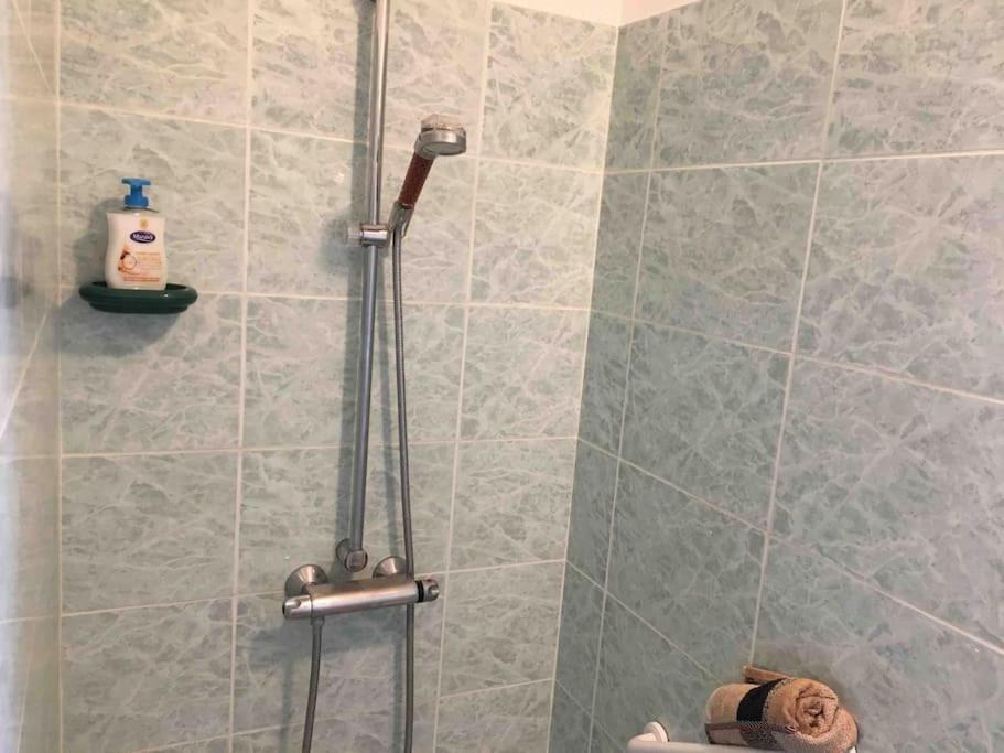 Appartement 55M2 En Beaujolais & Enedis A 15 Min Saint-Germain-Nuelles Zewnętrze zdjęcie